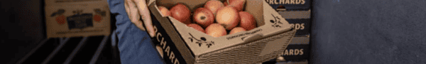 apples in a box